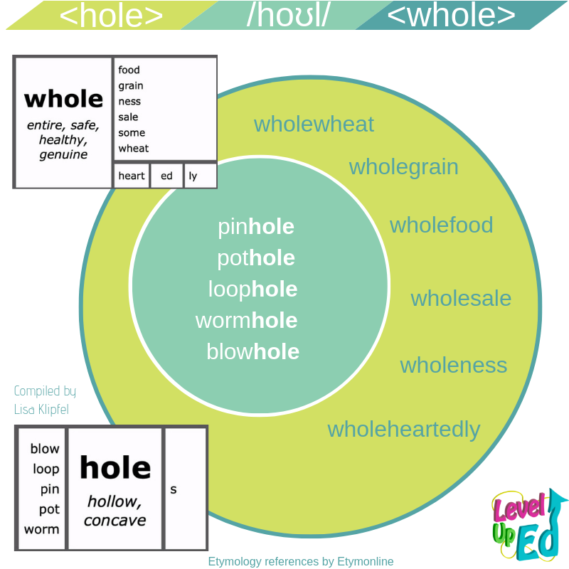 Whole Hole Homophones Sentences